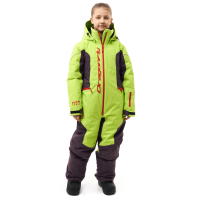 Dragonfly Комбинезон утепленный Gravity Teenager Lime - Plum 2025 в Владивостоке