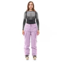 Dragonfly Штаны горнолыжные утепленные Gravity 2025 Woman Purple в Владивостоке